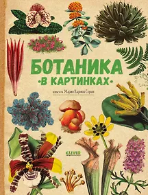 Купить Ботаника в картинках — Фото №1
