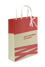 Купить Пакет А3 42*32*11.5 "Best investment in yourself" нейтр., бум.мат.ламинат — Фото №1