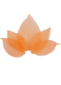 Купить Листья скелетированные в ОРР с подвесом, 5 шт, 7 см, оранжевые — Фото №1