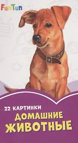 Купить Домашние животные. 22 картинки — Фото №1