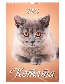 Купить Календарь 2026г 320*480 "Котята" настенный, на спирали — Фото №1