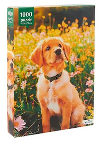 Купить Пазл 1000 элементов "Прогулка с другом" 48х67 см. — Фото №1