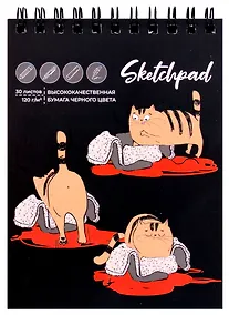 Купить Скетчбук А6 30л "Кот-непоседа" черн.внутр.блок, 120г/м2, гребень — Фото №1
