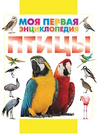 Купить Птицы — Фото №1