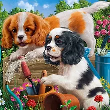 Купить Алмазная мозаика "Щенки Кокер-Спаниеля", 20 х 20, 26 цветов, Рыжий Кот — Фото №1