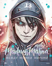 Купить MadnessMalina. Артбук. Между моими мирами — Фото №1