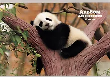 Купить Альбом для рисования Listoff, "Панда на дереве", А4, 30 листов, на скрепке — Фото №1