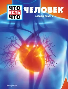 Купить ЧЕЛОВЕК. Взгляд внутрь — Фото №1