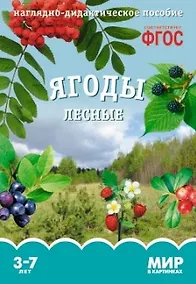 Купить Ягоды лесные. Наглядно-дидактическое пособие. ФГОС — Фото №1