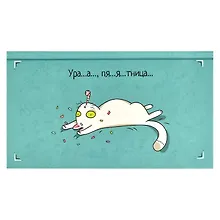 Купить Планинг недат. 165х90 64 л "ПЯТНИЧНЫЙ КОТИК" карманный, тв.переплет, мат.ламинация, выб.УФ-лак, офсет — Фото №1