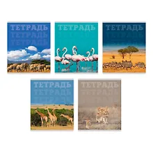 Купить Тетрадь в клетку Listoff, "В мире животных", 80 листов, в ассортименте — Фото №1