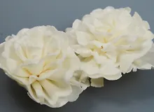 Купить Природный декор, Цветы (2шт. 5,5см) ) блистер — Фото №1