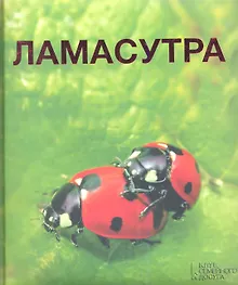 Купить Камасутра — Фото №1
