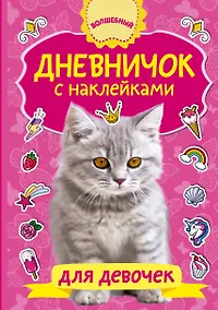 Купить Дневничок с наклейками для девочки — Фото №1