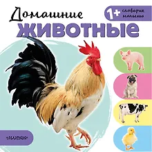 Купить Домашние животные — Фото №1