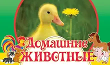 Купить Домашние животные — Фото №1