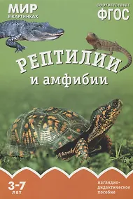 Купить Рептилии и амфибии. Наглядно-дидактическое пособие. ФГОС — Фото №1
