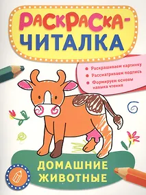 Купить Домашние животные — Фото №1