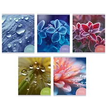 Купить Тетрадь в клетку Listoff, "Красота природы", 48 листов, в ассортименте — Фото №1