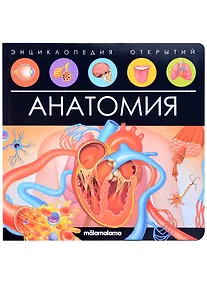 Купить Анатомия. Книжка-панорамка — Фото №1