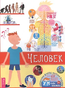 Купить Человек — Фото №1