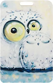 Купить Чехол для карточек Две белые совы — Фото №1