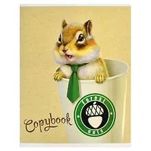 Купить Тетрадь в клетку Феникс+, "Модная белка", 48 листов, в ассортименте — Фото №1