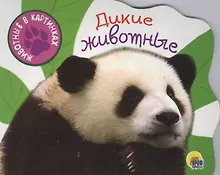 Купить Дикие животные — Фото №1