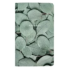 Купить Тетрадь для записи иностранных слов «Botanica. Эвкалипт популус», 48 листов в мелкую линейку, А5 - Be Smart — Фото №1