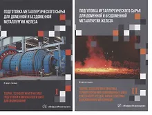 Купить Подготовка металлургического сырья для доменной и бездоменной металлургии железа. Том 1. Том 2 (комплект из 2 книг) — Фото №1