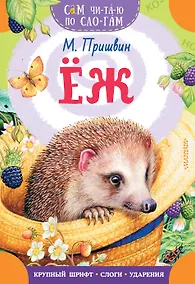 Купить Еж — Фото №1