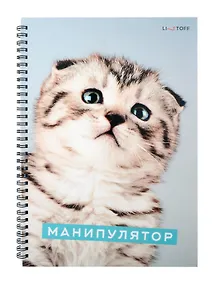 Купить Тетрадь в клетку Listoff, "Характер котика", А4, 80 листов — Фото №1