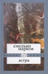 Купить Астра — Фото №1