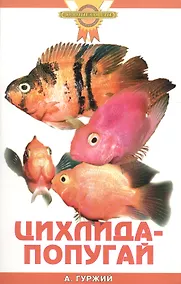 Купить Цихлида-попугай (цвет) — Фото №1