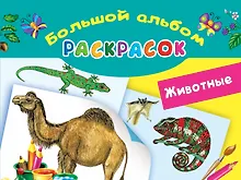 Купить Животные — Фото №1