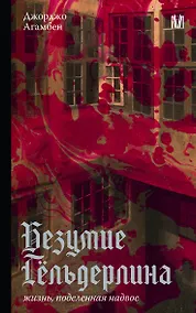 Купить Безумие Гёльдерлина. Жизнь, поделенная надвое — Фото №1