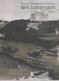 Купить Восхищение. Роман — Фото №1