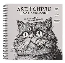 Купить Скетчбук 190*190 30л "Кот" 120г/м2, мел.картон, выб.лак, евроспираль — Фото №1