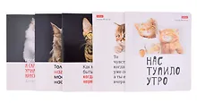 Купить Тетради в клетку Hatber, "Котоюмор", 48 листов, 5 штук, в ассортименте — Фото №1
