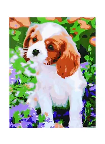 Купить Холст с красками 17х22см по номерам (в коробке), (14цв) Щенок спаниеля ХК-3996 — Фото №1