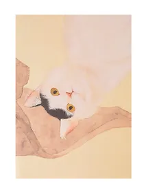 Купить Записная книжка А6+ 18л нелин. "Котик по кличке Миндаль (1)" скоба — Фото №1