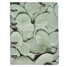 Купить Тетрадь на кольцах в клетку Be Smart, "Botanica. Эвкалипт популус", 120 листов — Фото №1