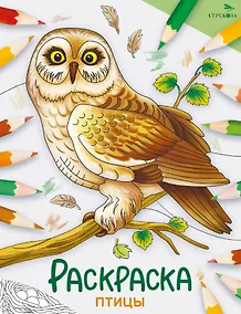 Купить Птицы. Окружающий мир. Раскраска — Фото №1
