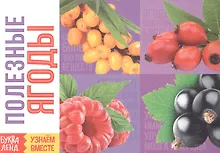 Купить Обучающая книга «Полезные ягоды» — Фото №1