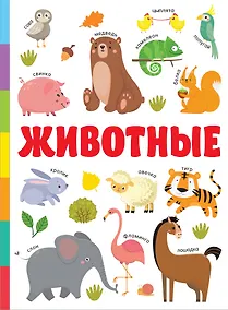Купить Животные — Фото №1