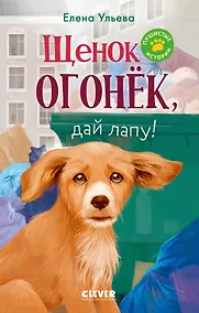 Купить Щенок Огонек, дай лапу! — Фото №1