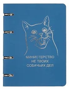 Купить Тетрадь на кольцах Listoff, "ColourMania. Дизайн 23", А5, 100 листов — Фото №1