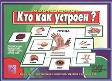 Купить Кто как устроен. Познавательная игра-лото — Фото №1