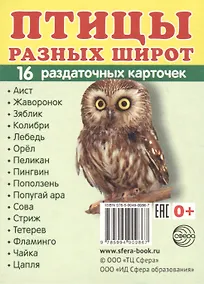 Купить Демонстрационные картинки СУПЕР Птицы разных широт.16 раздаточных карточек с текстом (63х87 мм) — Фото №1