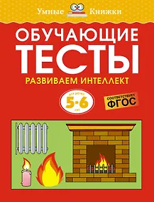Купить Обучающие тесты. Развиваем интеллект (5–6 лет) — Фото №1